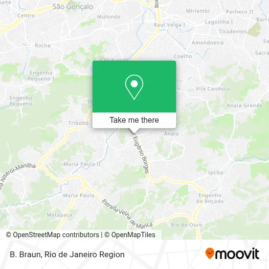 B. Braun map