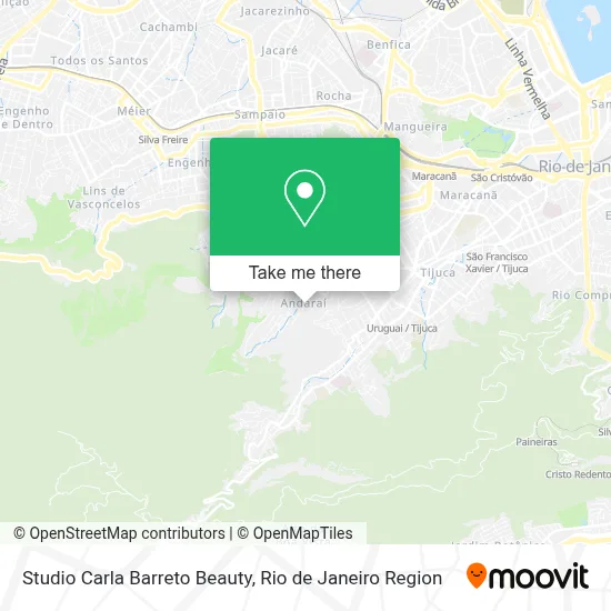 Studio Carla Barreto Beauty map