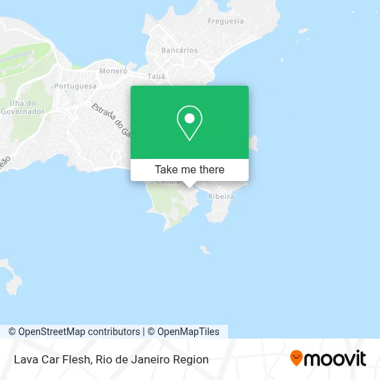 Lava Car Flesh map