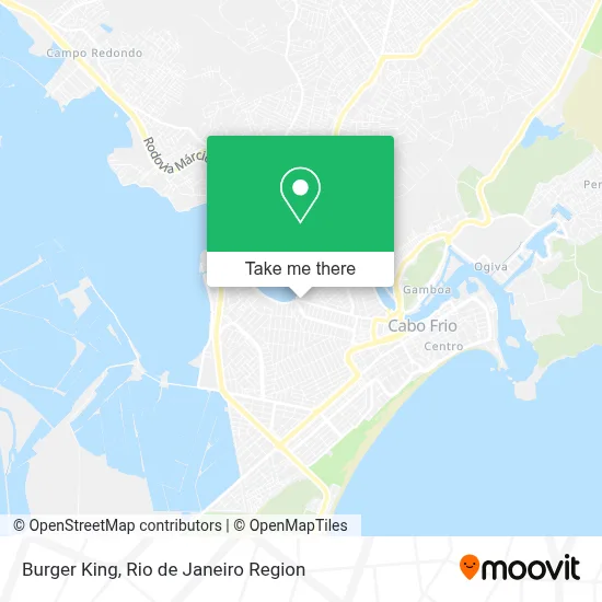 Burger King map