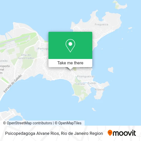 Psicopedagoga Alvane Rios map