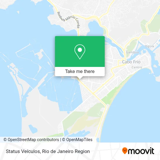 Status Veículos map