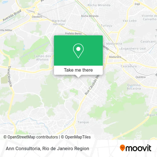 Ann Consultoria map