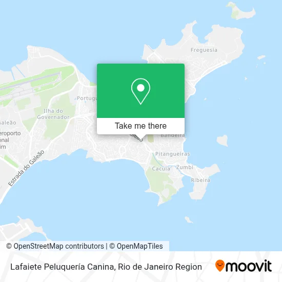 Lafaiete Peluquería Canina map