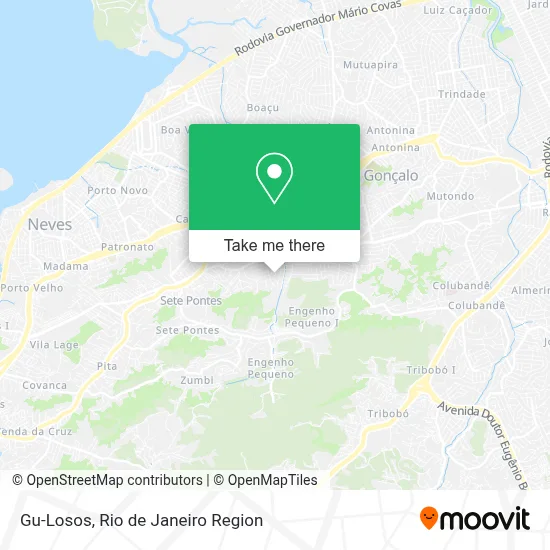 Gu-Losos map