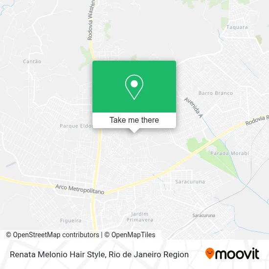 Renata Melonio Hair Style map