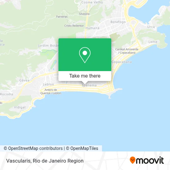 Vascularis map