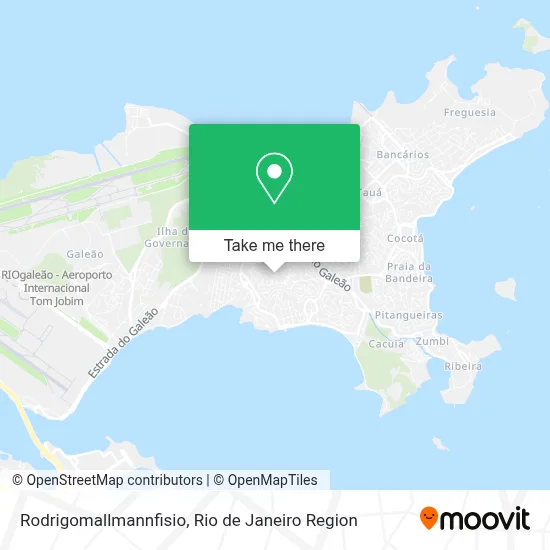 Rodrigomallmannfisio map