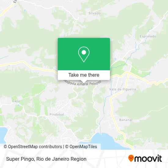 Super Pingo map