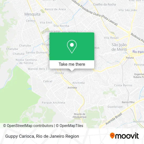 Guppy Carioca map