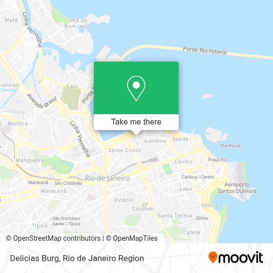 Delicias Burg map