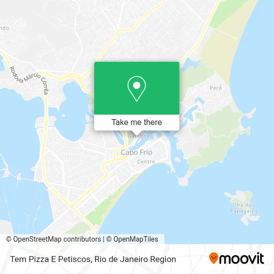 Tem Pizza E Petiscos map