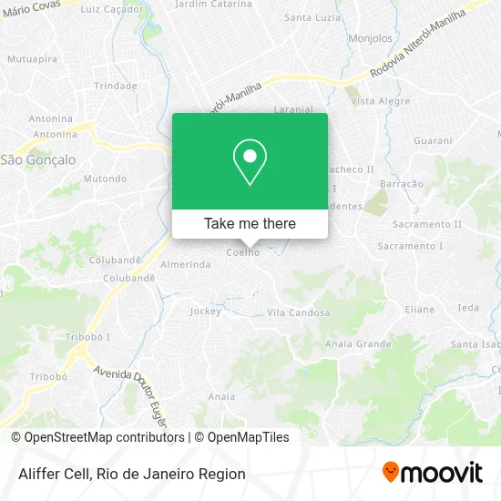 Aliffer Cell map