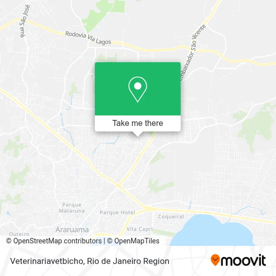 Veterinariavetbicho map