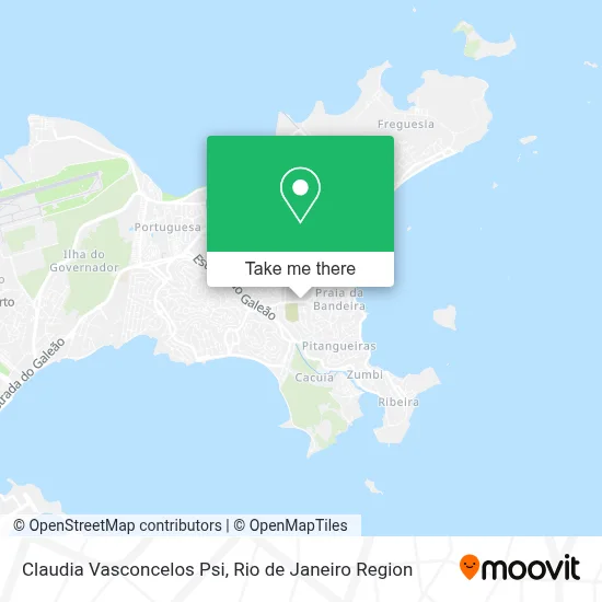 Claudia Vasconcelos Psi map
