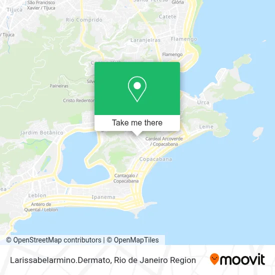 Larissabelarmino.Dermato map
