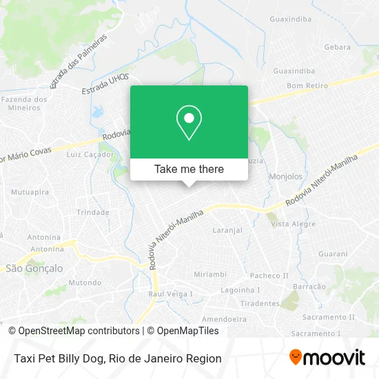 Taxi Pet Billy Dog map