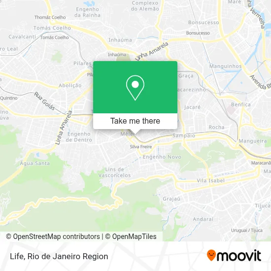 Life map