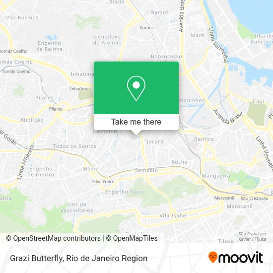 Grazi Butterfly map