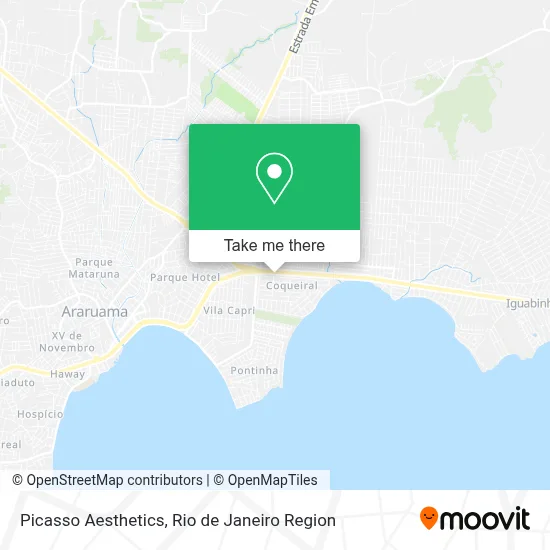 Picasso Aesthetics map