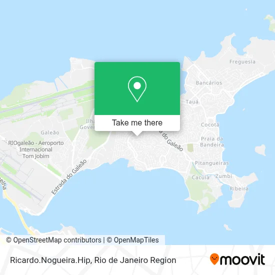 Ricardo.Nogueira.Hip map