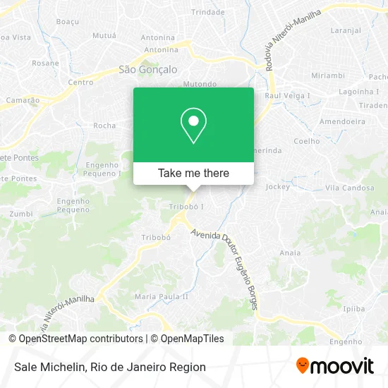 Sale Michelin map