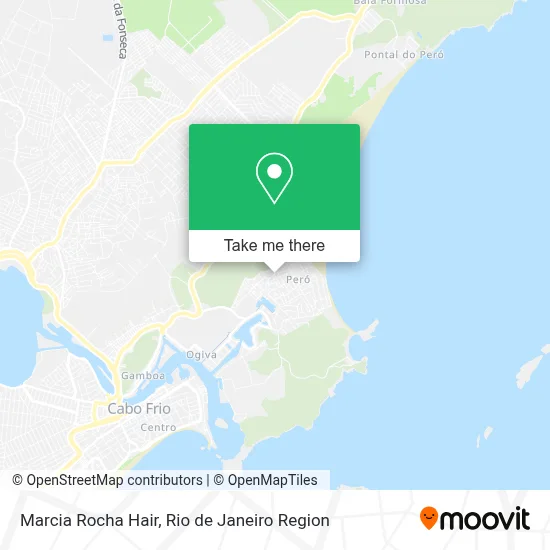 Marcia Rocha Hair map