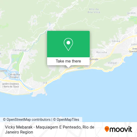 Vicky Mebarak - Maquiagem E Penteado map