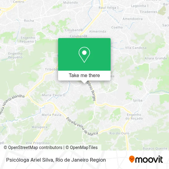 Psicóloga Ariel Silva map