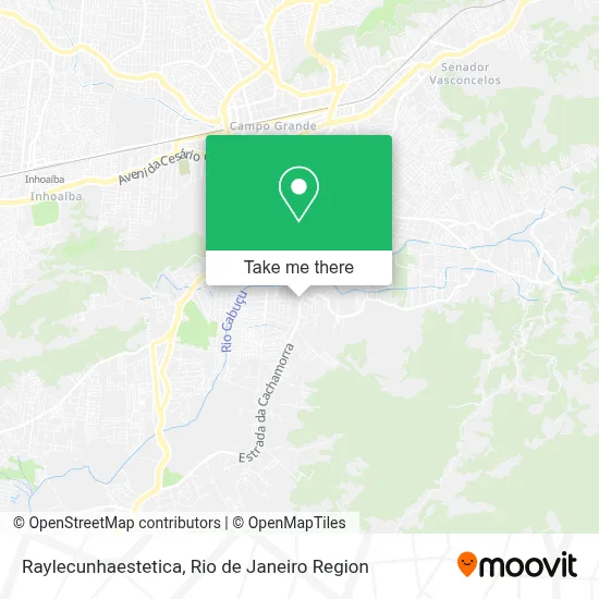 Raylecunhaestetica map