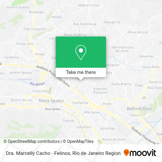 Dra. Marcelly Cacho - Felinos map