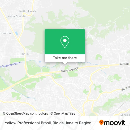 Yellow Professional Brasil map