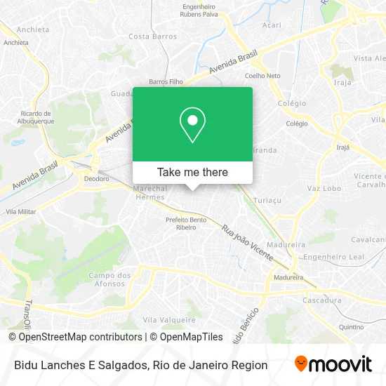 Bidu Lanches E Salgados map