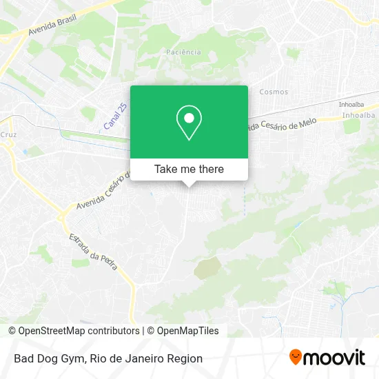 Bad Dog Gym map