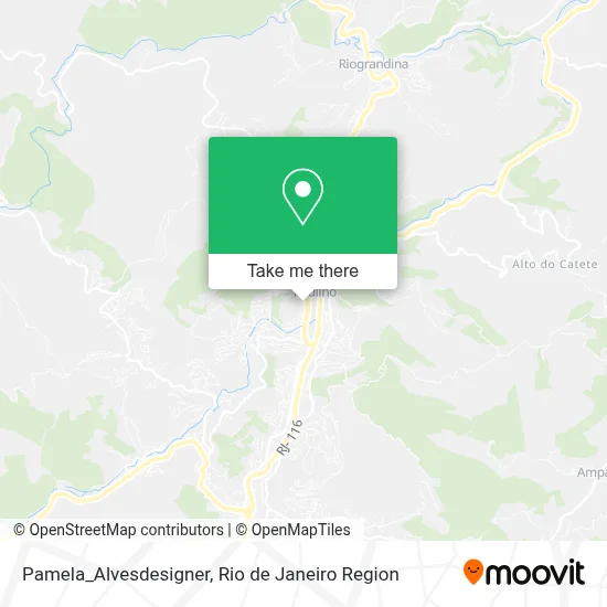Pamela_Alvesdesigner map