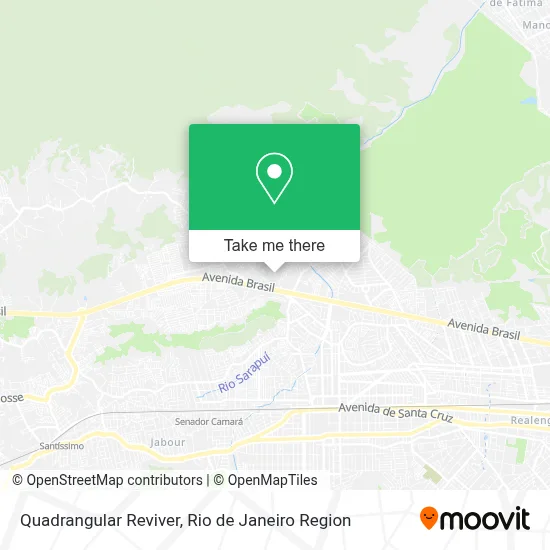 Quadrangular Reviver map