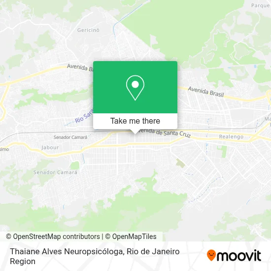 Thaiane Alves Neuropsicóloga map