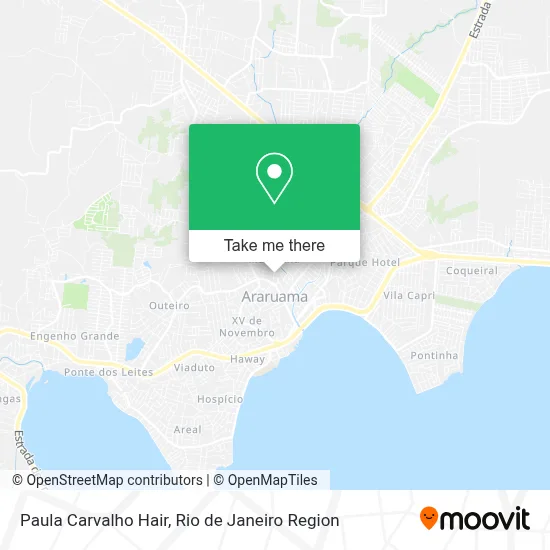 Paula Carvalho Hair map