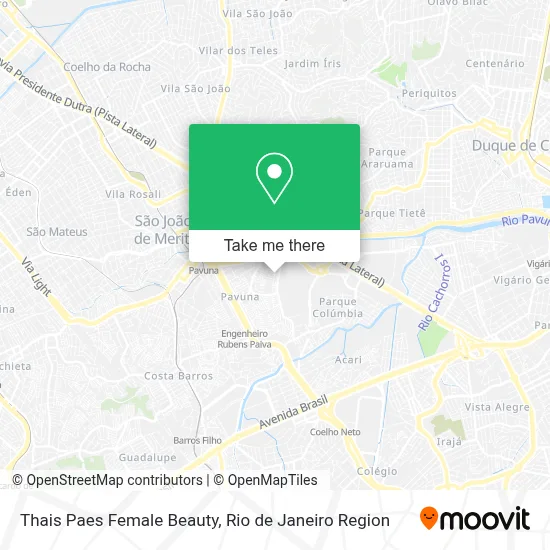 Thais Paes Female Beauty map