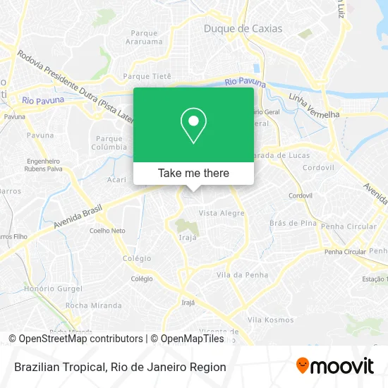 Brazilian Tropical map