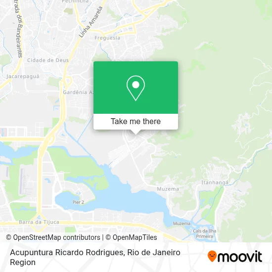 Acupuntura Ricardo Rodrigues map