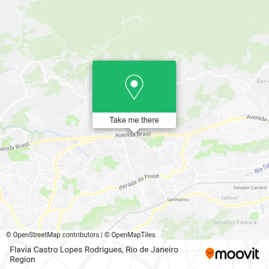 Flavia Castro Lopes Rodrigues map