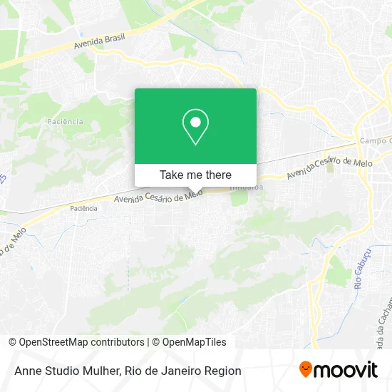 Anne Studio Mulher map