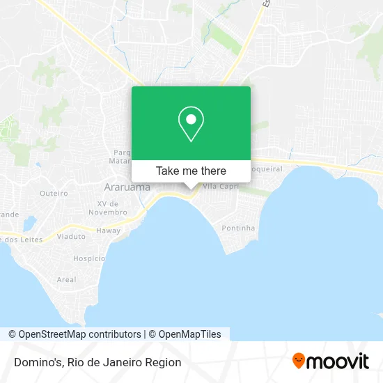 Domino's map