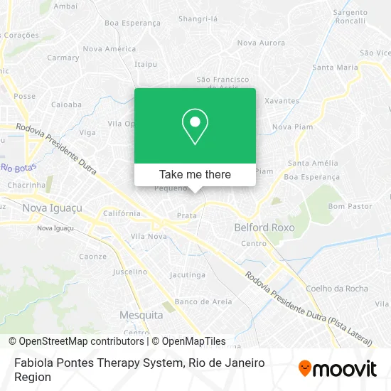 Fabiola Pontes Therapy System map