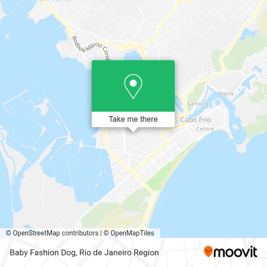 Baby Fashion Dog map