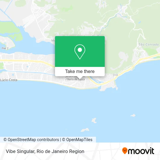 Vibe Singular map