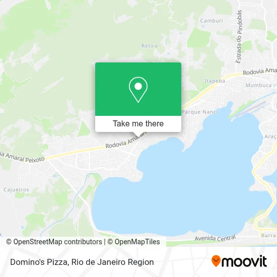 Domino's Pizza map