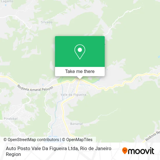 Auto Posto Vale Da Figueira Ltda map