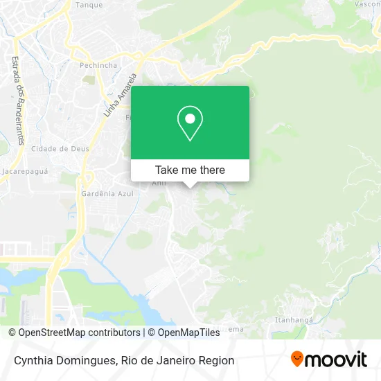 Cynthia Domingues map